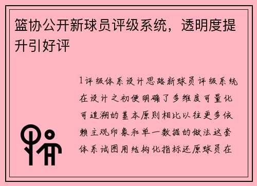 篮协公开新球员评级系统，透明度提升引好评